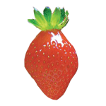 mariguette